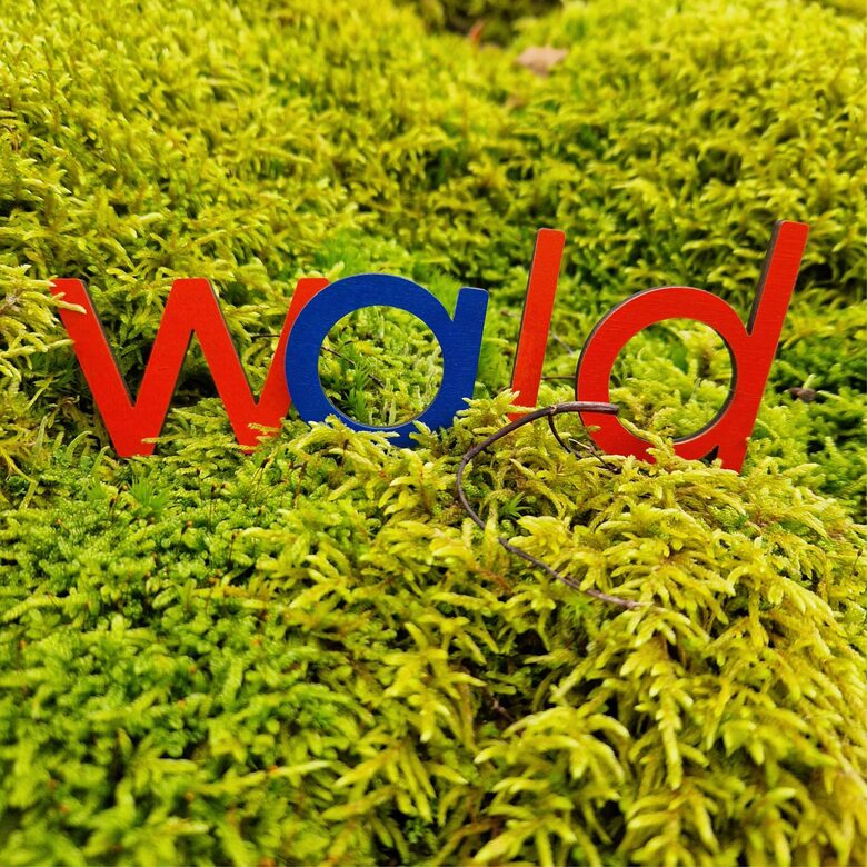 Montessori Bewegliches Alphabet – kleine gedruckte Holzbuchstaben (27 / 39 / 81 / 135 Stück)